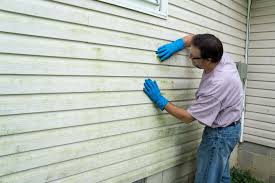 Best Vinyl Siding Installation  in Harkers Island, NC